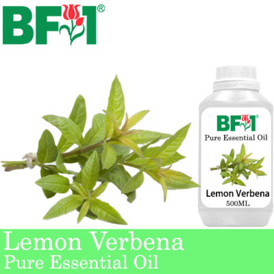 Pure Essential Oil (EO) - Lemon Verbena Essential Oil - 500ml