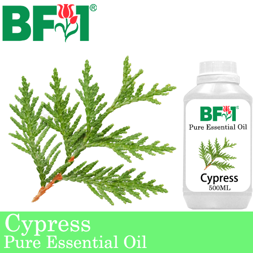 Pure Essential Oil (EO) - Cypress Essential Oil - 500ml