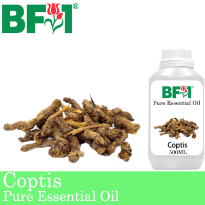 Pure Essential Oil (EO) - Coptis (Coptis Japonica) Essential Oil - 500ml