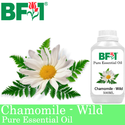 Pure Essential Oil (EO) - Chamomile - Wild Chamomile Essential Oil - 500ml