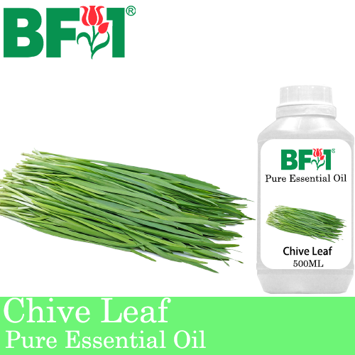 Pure Essential Oil (EO) - Chive Leaf ( Allium schoenoprasum L ) Essential Oil - 500ml