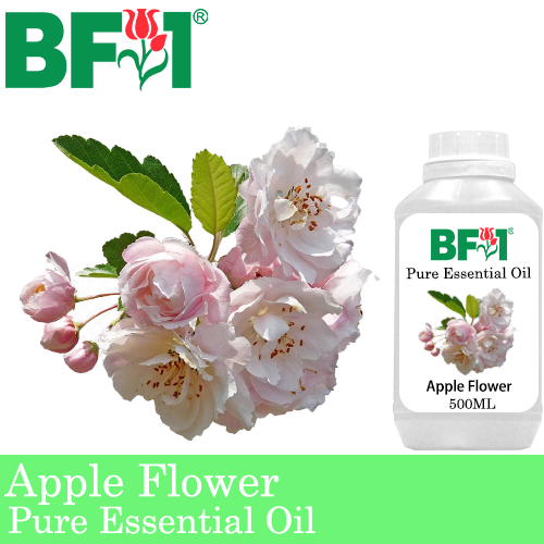Pure Essential Oil (EO) - Apple Flower Essential Oil - 500ml