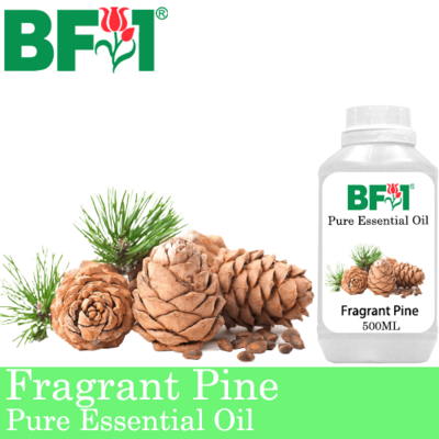 Pure Essential Oil (EO) - Pine - Fragrant Pine Essential Oil - 500ml