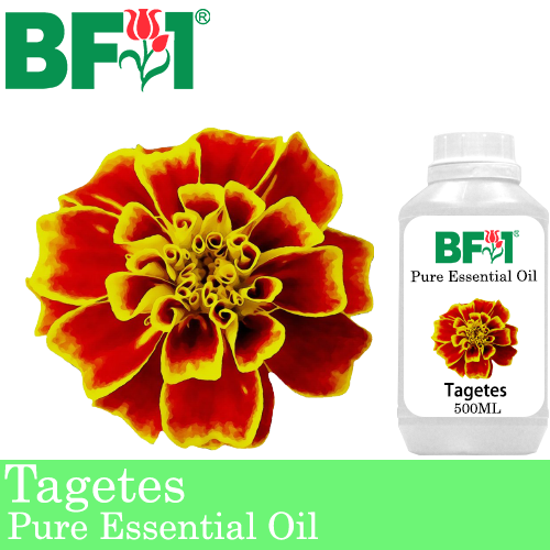 Pure Essential Oil (EO) - Tagetes Essential Oil - 500ml