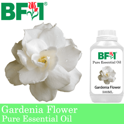 Pure Essential Oil (EO) - Gardenia Flower Essential Oil - 500ml