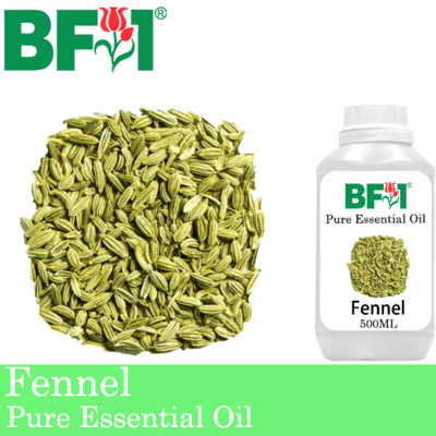 Pure Essential Oil (EO) - Fennel Essential Oil - 500ml