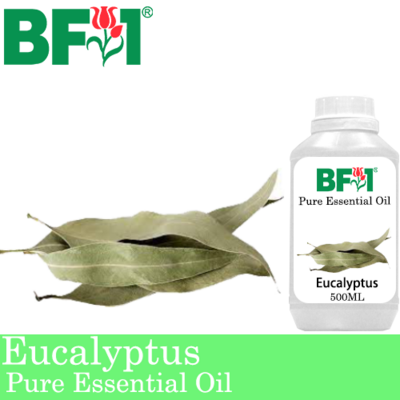 Pure Essential Oil (EO) - Eucalyptus Essential Oil - 500ml