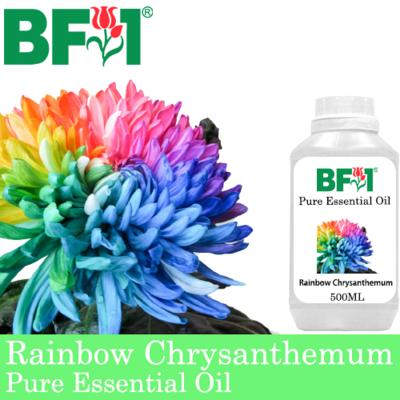 Pure Essential Oil (EO) - Chrysanthemum - Rainbow Chrysanthemum Essential Oil - 500ml