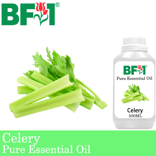 Pure Essential Oil (EO) - Celery Essential Oil - 500ml