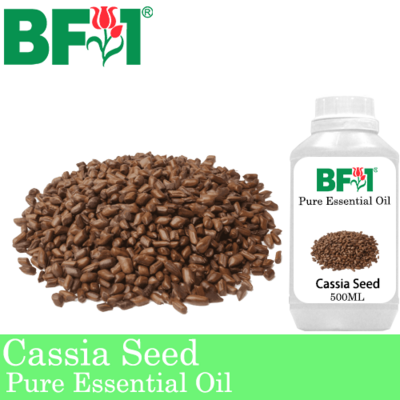 Pure Essential Oil (EO) - Cassia Seed Essential Oil - 500ml