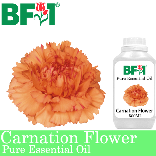 Pure Essential Oil (EO) - Carnation Flower Essential Oil - 500ml