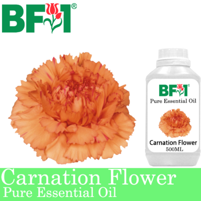 Pure Essential Oil (EO) - Carnation Flower Essential Oil - 500ml