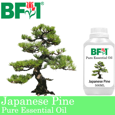 Pure Essential Oil (EO) - Pine - Japanese Pine Essential Oil - 500ml