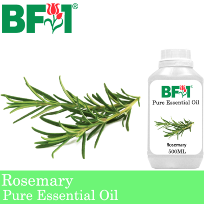 Pure Essential Oil (EO) - Rosemary Essential Oil - 500ml