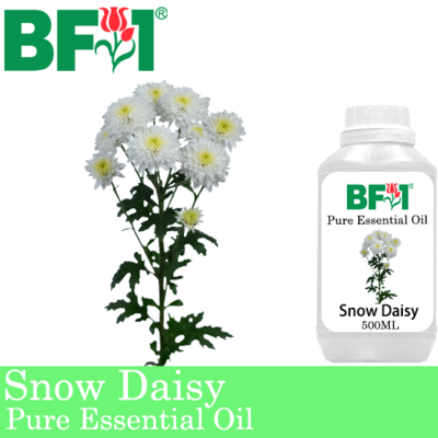 Pure Essential Oil (EO) - Snow Daisy Essential Oil - 500ml