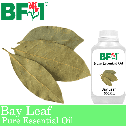 Pure Essential Oil (EO) - Bay Leaf Essential Oil - 500ml