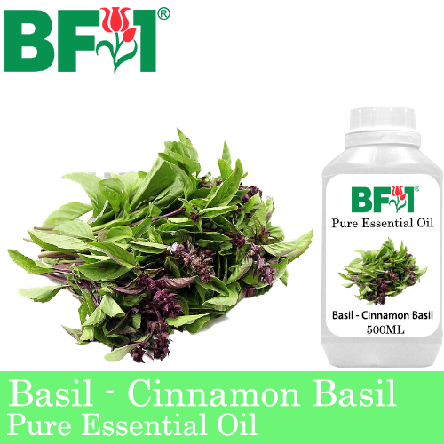 Pure Essential Oil (EO) - Basil - Cinnamon Basil ( Thai Basil ) Essential Oil - 500ml