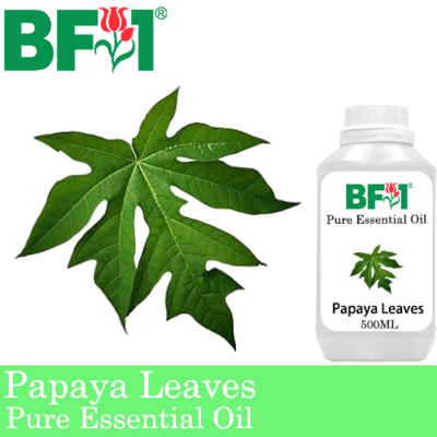 Pure Essential Oil (EO) - Papaya Leaves Essential Oil - 500ml