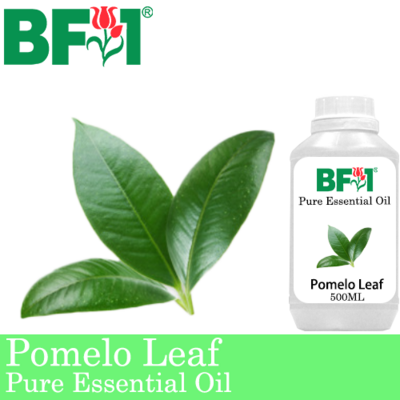 Pure Essential Oil (EO) - Pomelo Leaf Essential Oil - 500ml