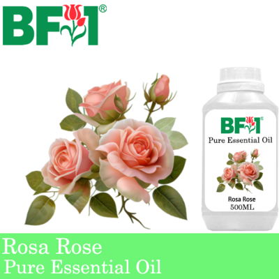 Pure Essential Oil (EO) - Rose - Rosa Rose Essential Oil - 500ml