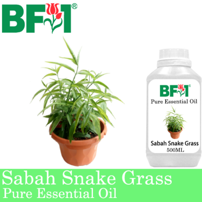 Pure Essential Oil (EO) - Sabah Snake Grass Essential Oil - 500ml