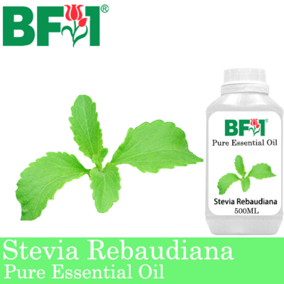Pure Essential Oil (EO) - Stevia ( Stevia Rebaudiana ) Essential Oil - 500ml