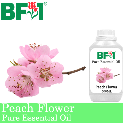 Pure Essential Oil (EO) - Peach Flower Essential Oil - 500ml