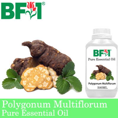 Pure Essential Oil (EO) - Polygonum Multiflorum Essential Oil - 500ml