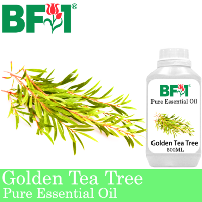 Pure Essential Oil (EO) - Tea Tree - Golden Tea Tree Essential Oil - 500ml
