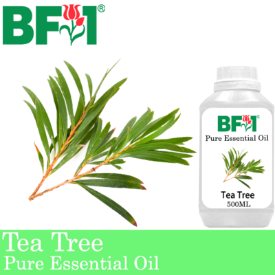 Pure Essential Oil (EO) - Tea Tree Essential Oil - 500ml