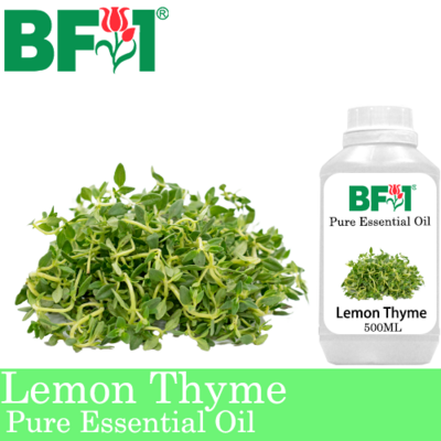 Pure Essential Oil (EO) - Thyme - Lemon Thyme Essential Oil - 500ml