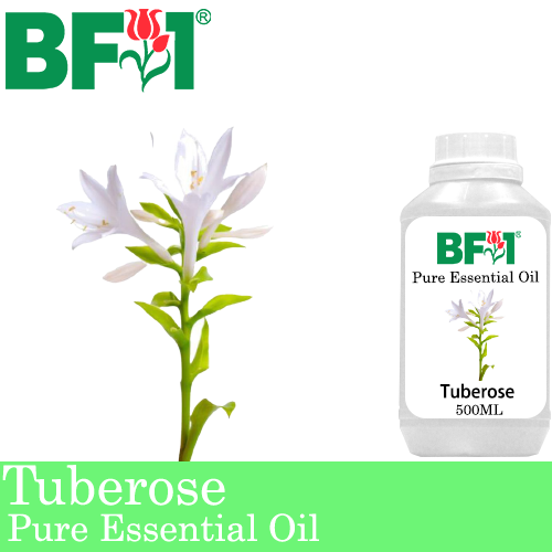 Pure Essential Oil (EO) - Tuberose Essential Oil - 500ml