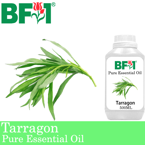 Pure Essential Oil (EO) - Tarragon Essential Oil - 500ml