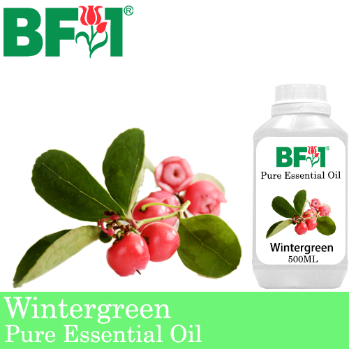 Pure Essential Oil (EO) - Wintergreen Essential Oil - 500ml