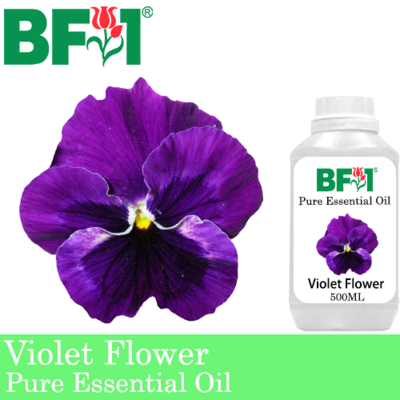 Pure Essential Oil (EO) - Violet Flower Essential Oil - 500ml