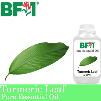 Pure Essential Oil (EO) - Turmeric Leaf Essential Oil - 500ml