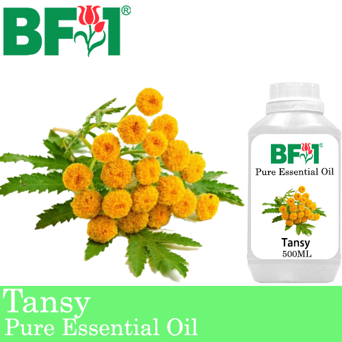 Pure Essential Oil (EO) - Tansy Essential Oil - 500ml