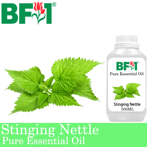 Pure Essential Oil (EO) - Stinging Nettle Essential Oil - 500ml