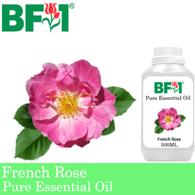 Pure Essential Oil (EO) - Rose - French Rose Essential Oil - 500ml