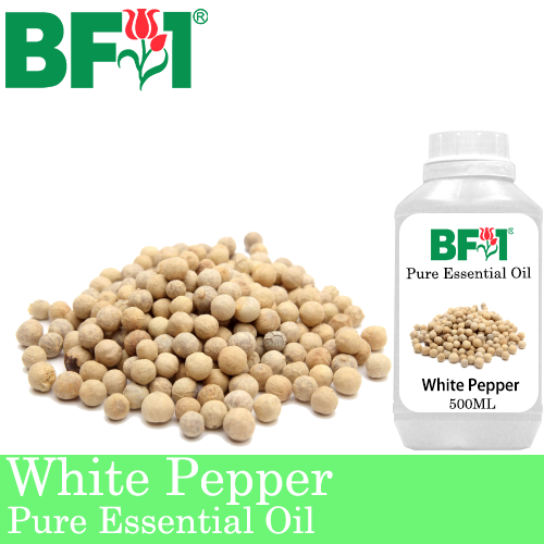 Pure Essential Oil (EO) - Pepper - White Pepper Essential Oil - 500ml
