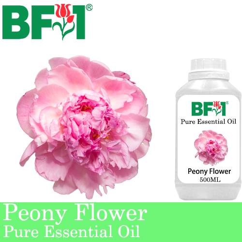 Pure Essential Oil (EO) - Peony Flower Essential Oil - 500ml