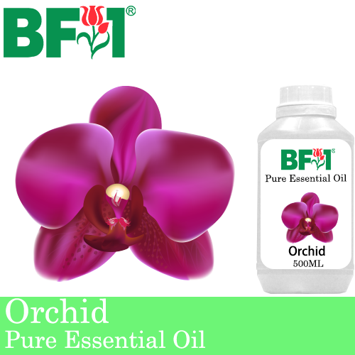 Pure Essential Oil (EO) - Orchid Essential Oil - 500ml