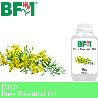 Pure Essential Oil (EO) - Rue ( Ruta Graveolens ) Essential Oil - 500ml