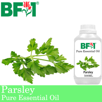 Pure Essential Oil (EO) - Parsley Essential Oil - 500ml