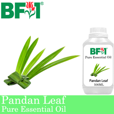 Pure Essential Oil (EO) - Pandan Leaf Essential Oil - 500ml