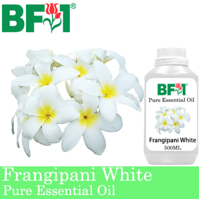 Pure Essential Oil (EO) - Frangipani White Essential Oil - 500ml