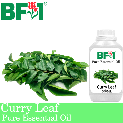 Pure Essential Oil (EO) - Curry Leaf Essential Oil - 500ml