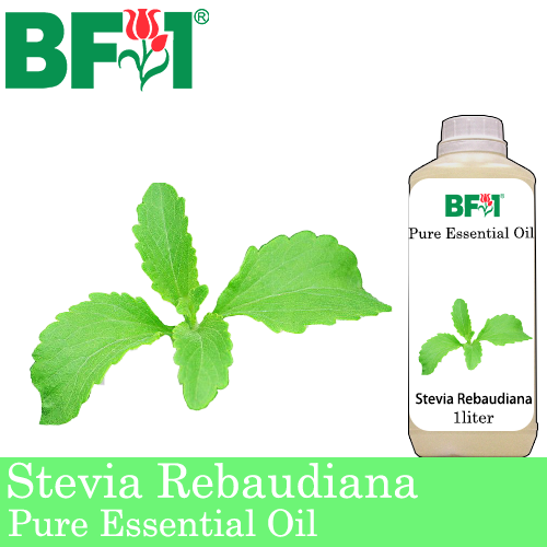 Pure Essential Oil (EO) - Stevia ( Stevia Rebaudiana ) Essential Oil - 1L