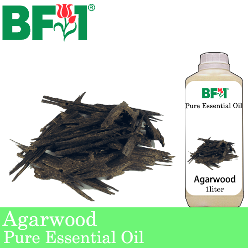 Pure Essential Oil (EO) - Agarwood Essential Oil - 1L