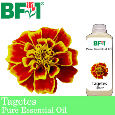 Pure Essential Oil (EO) - Tagetes Essential Oil - 1L